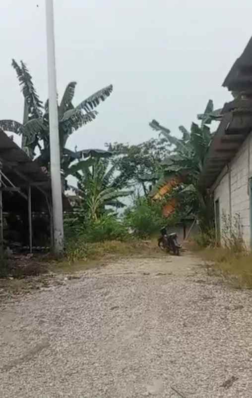 dijual tanah jalan raya kali cbl