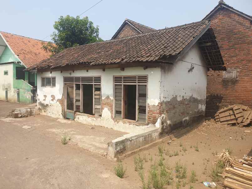 dijual tanah jalan raya tambakrejo