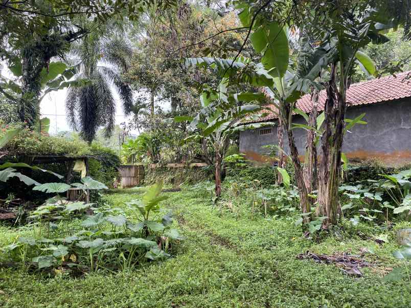 dijual tanah jl cibalung cijeruk