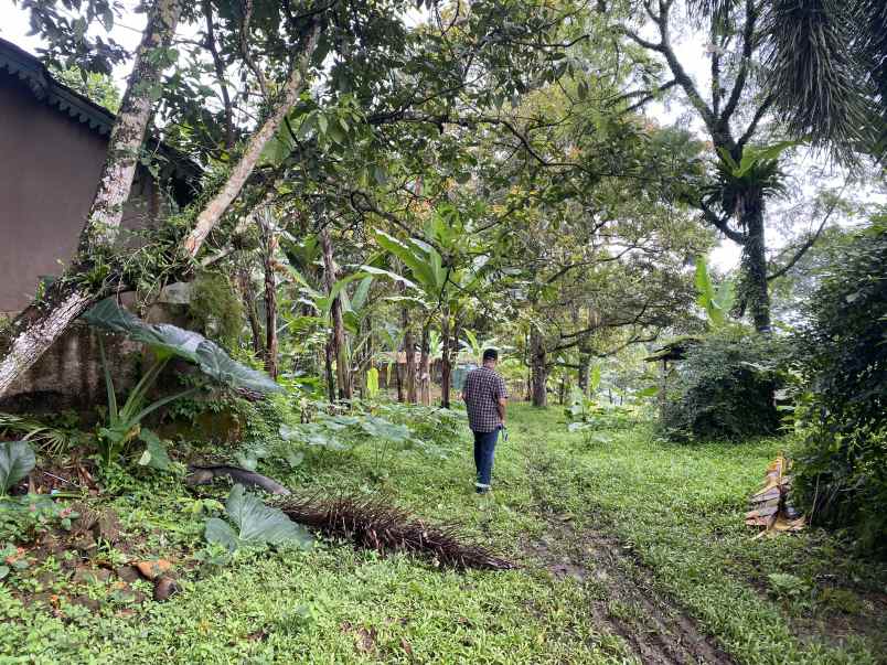 dijual tanah jl cibalung cijeruk