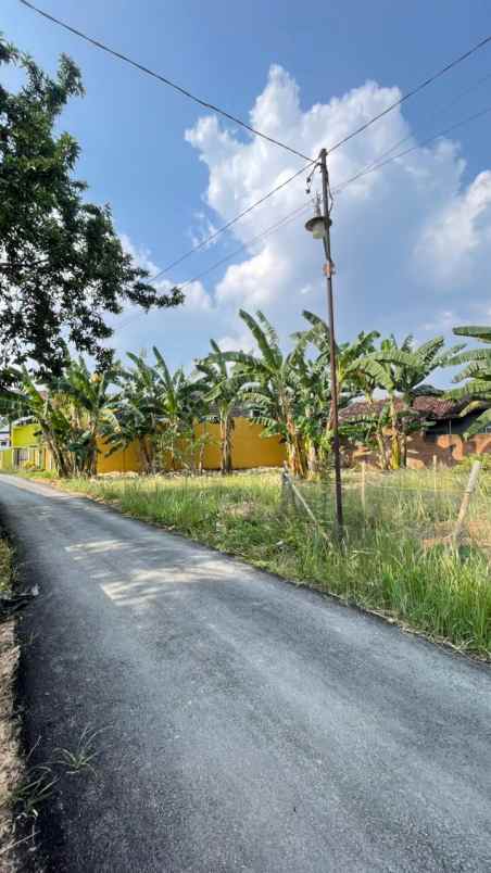 dijual tanah jl nunyai