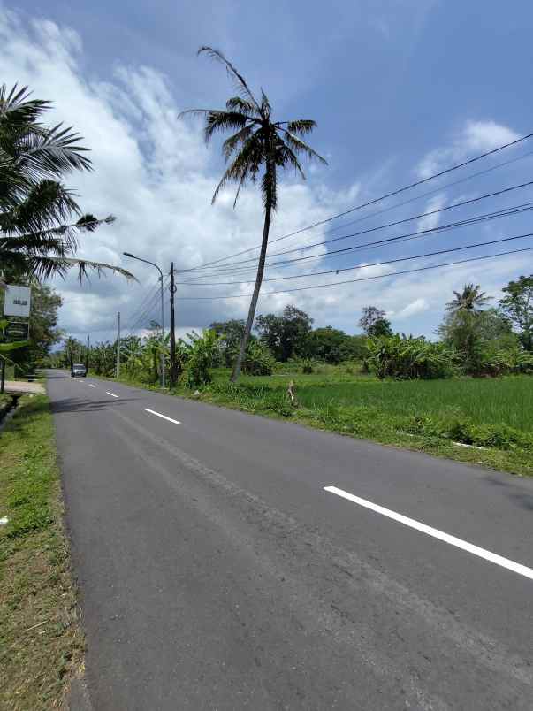 dijual tanah jl raya selomartani