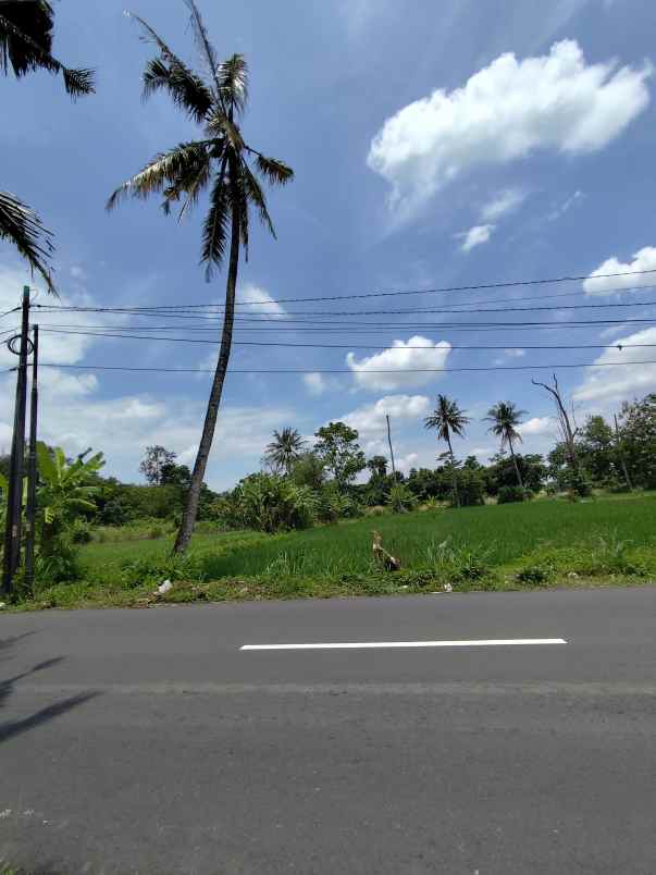 dijual tanah jl raya selomartani