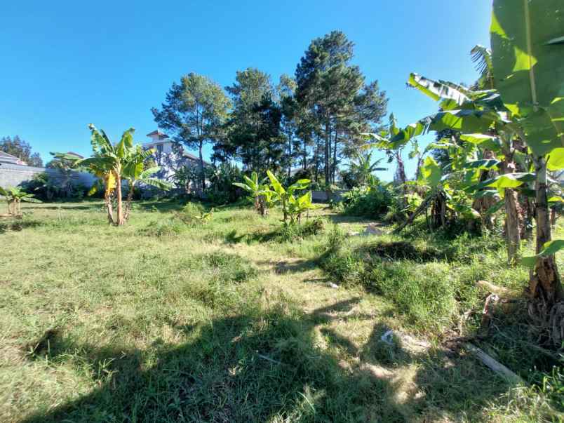 dijual tanah jl sersan bajuri cihideung