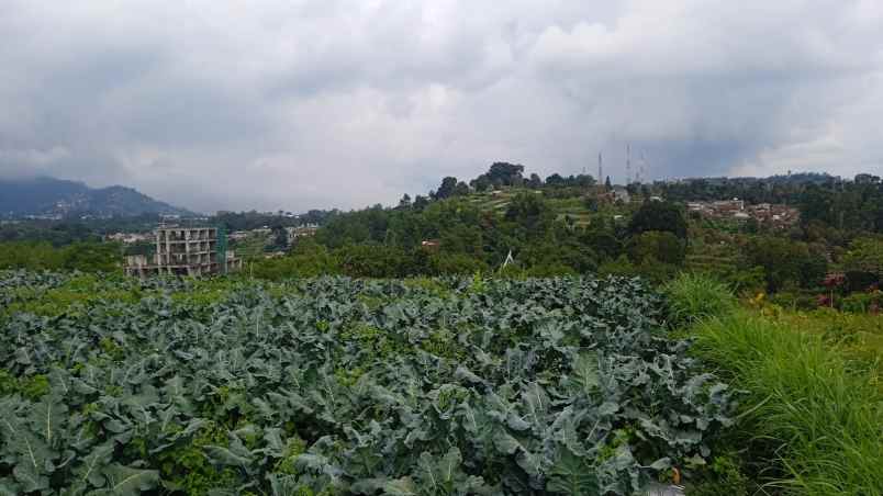 dijual tanah jl sersan bajuri cihideung