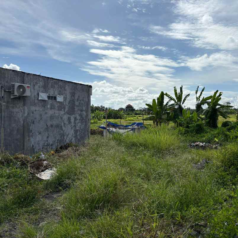 dijual tanah jl tatiapi kelod