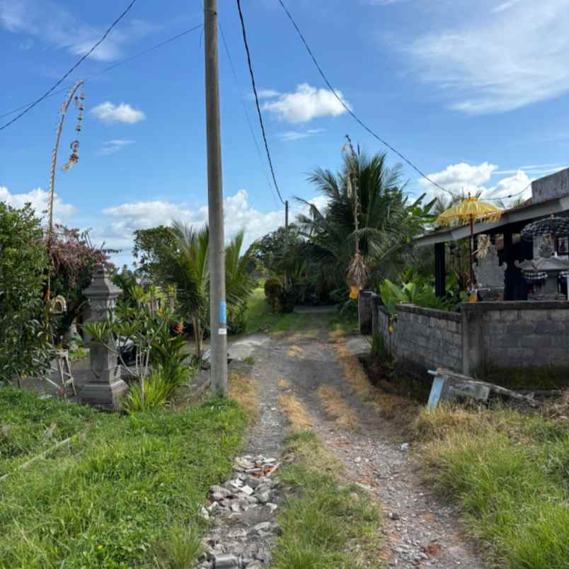 dijual tanah jl tatiapi kelod
