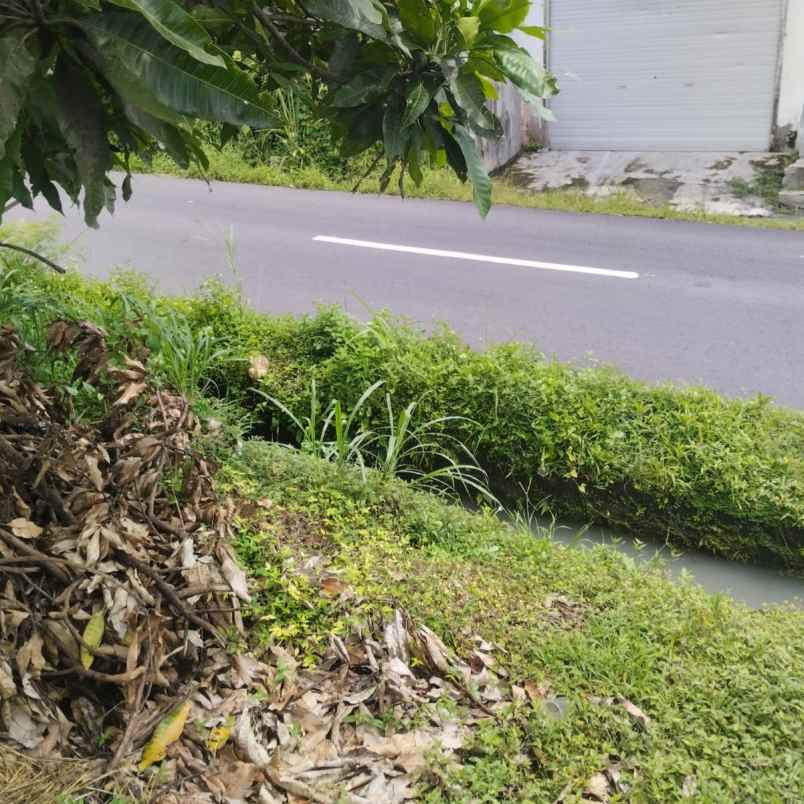 dijual tanah jl tibu biyu