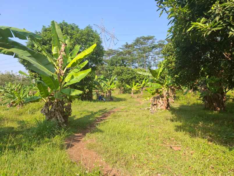 dijual tanah jln sidorejo ungaran