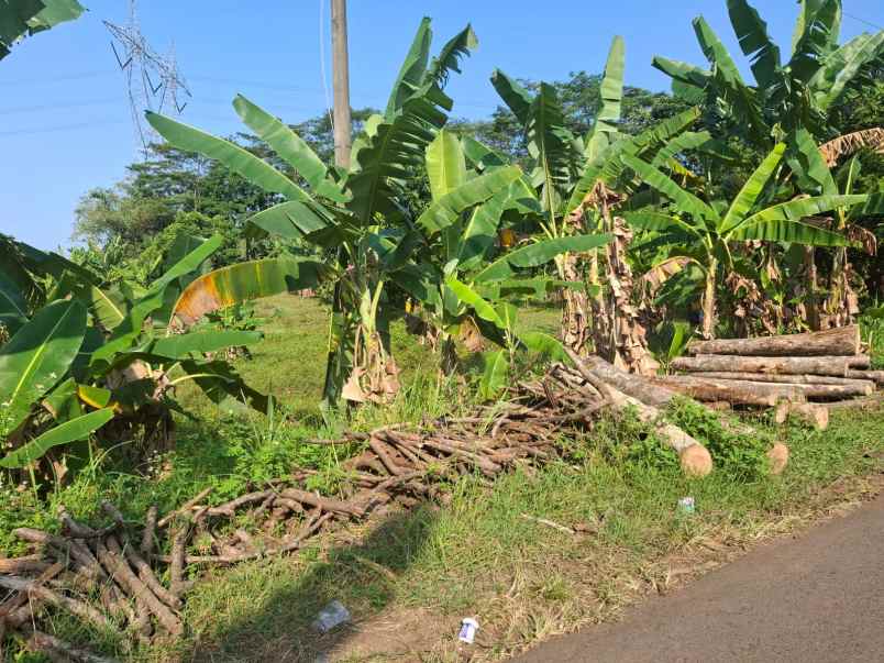 dijual tanah jln sidorejo ungaran