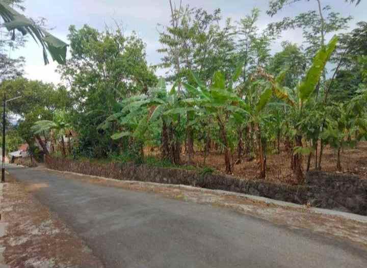 dijual tanah kebun strategis pinggir jalan