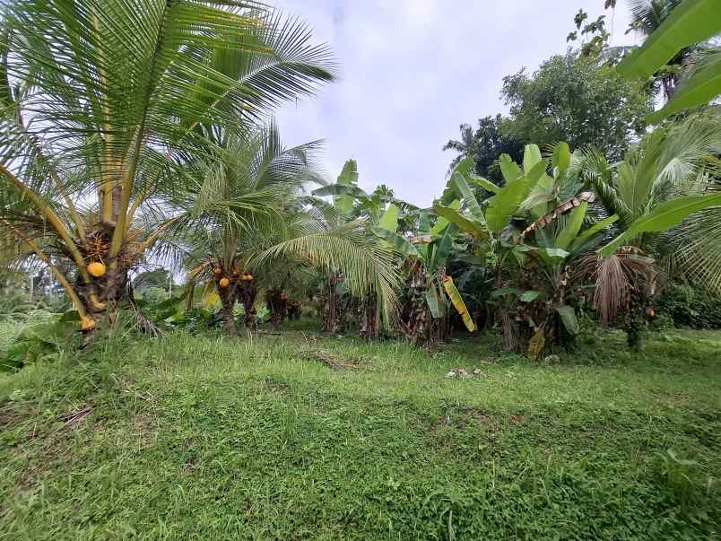 dijual tanah kec selemadeg barat kab