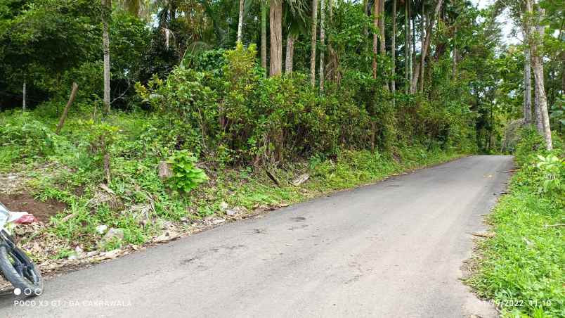 dijual tanah kedaung kemiling bandar