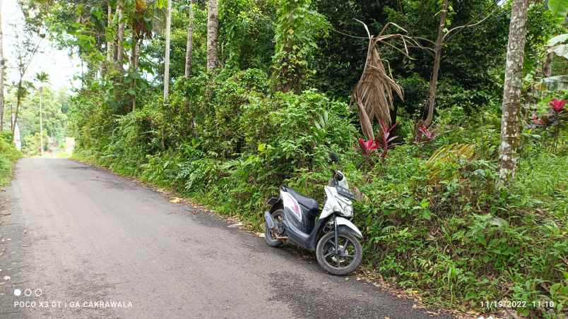 dijual tanah kedaung kemiling bandar