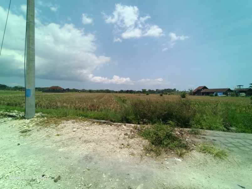 dijual tanah kedungu tabanan bali