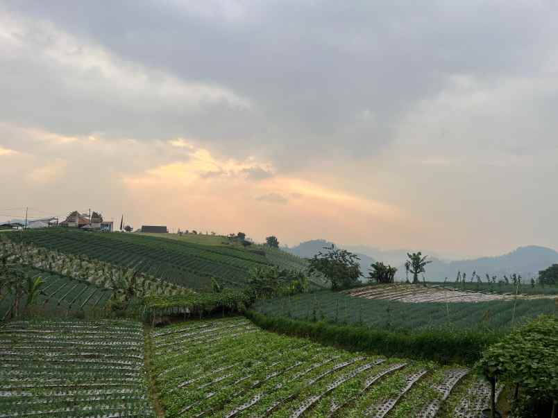 dijual tanah kemuning ngargoyoso