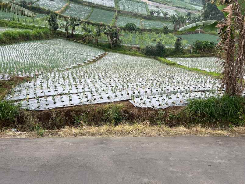 dijual tanah kemuning ngargoyoso