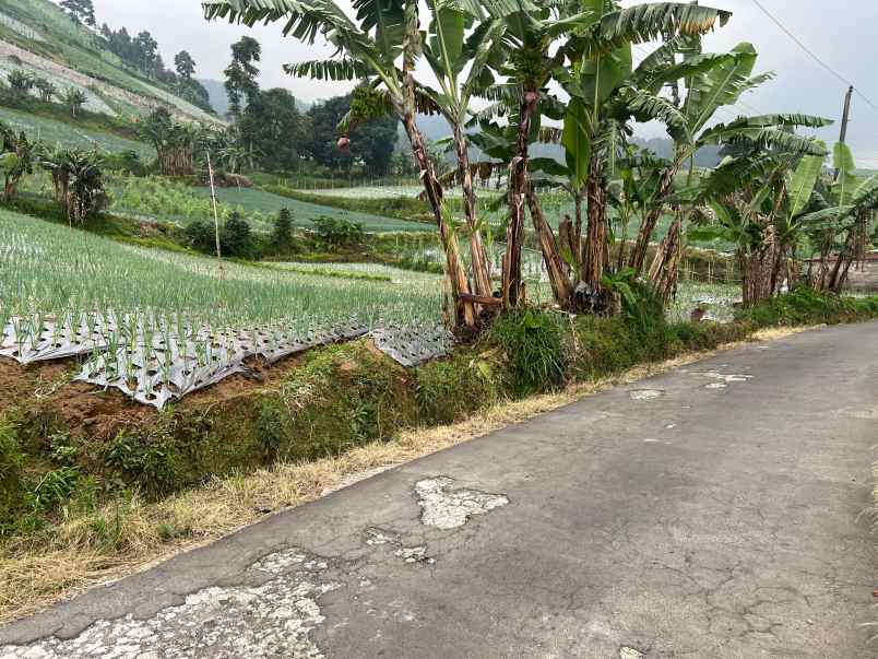 dijual tanah kemuning ngargoyoso