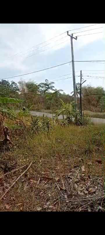 dijual tanah kp andir majasari