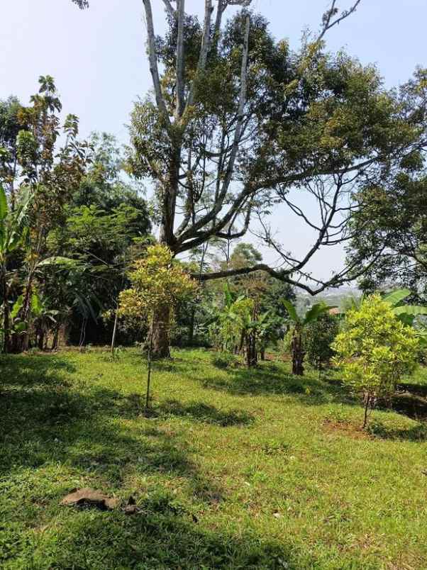 dijual tanah luas di pakuhaji bandung barat