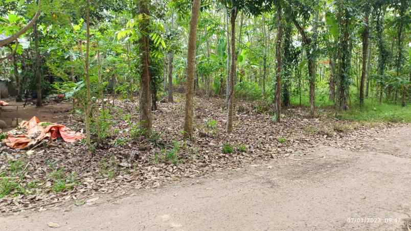 dijual tanah negeri katon pesawaran