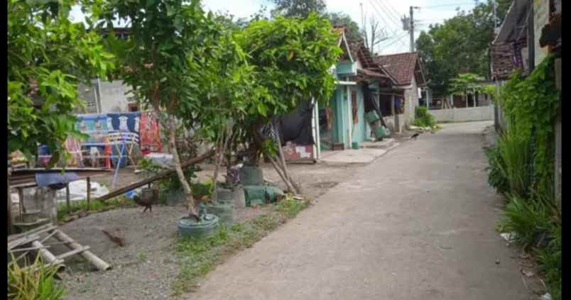dijual tanah nene