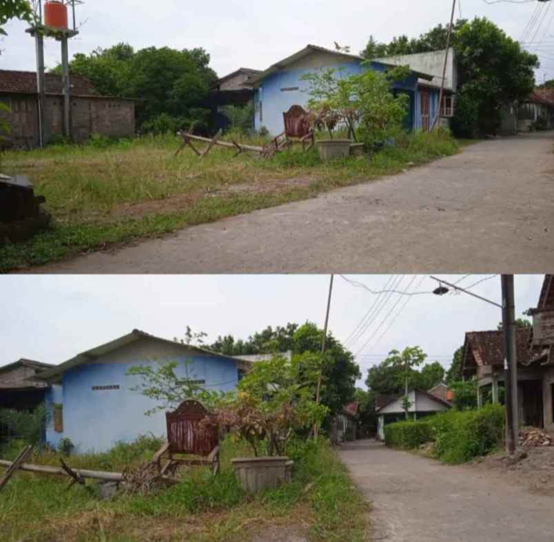 dijual tanah nene