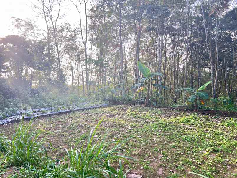 dijual tanah ngargoyoso karanganyar