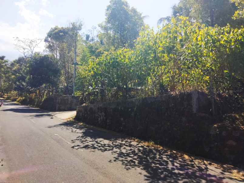 dijual tanah peusing jalaksana kuningan