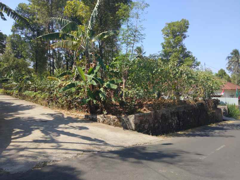 dijual tanah peusing jalaksana kuningan