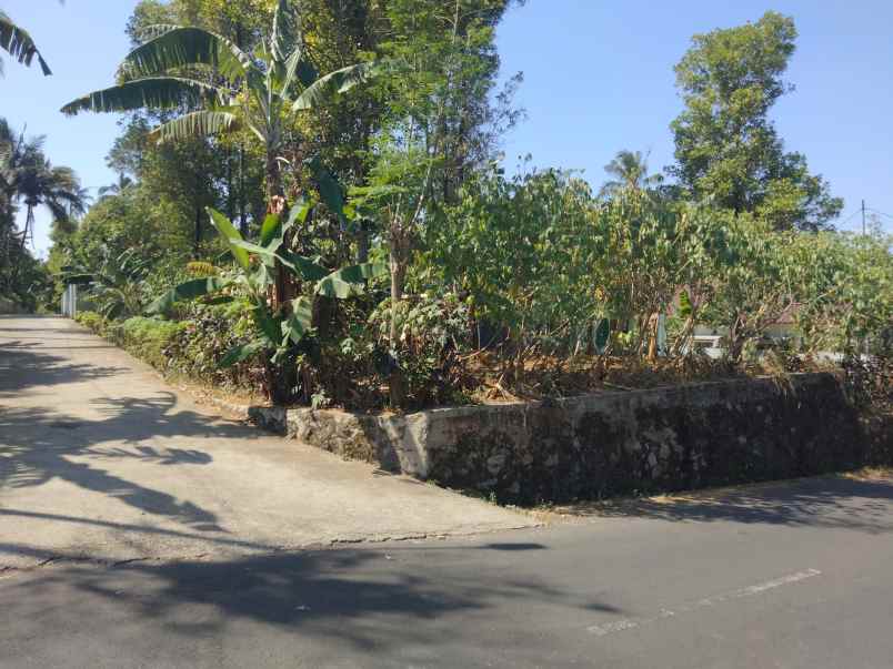 dijual tanah peusing jalaksana kuningan