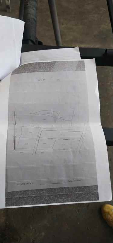 dijual tanah sawah murah meriah nego sampai jadi