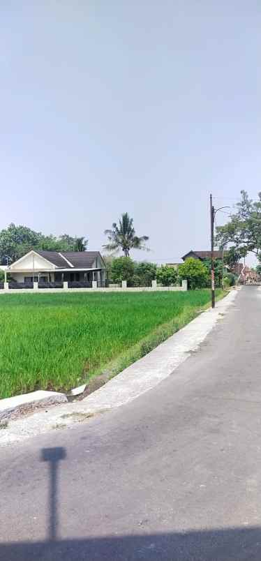 dijual tanah sawah murah meriah nego sampai jadi