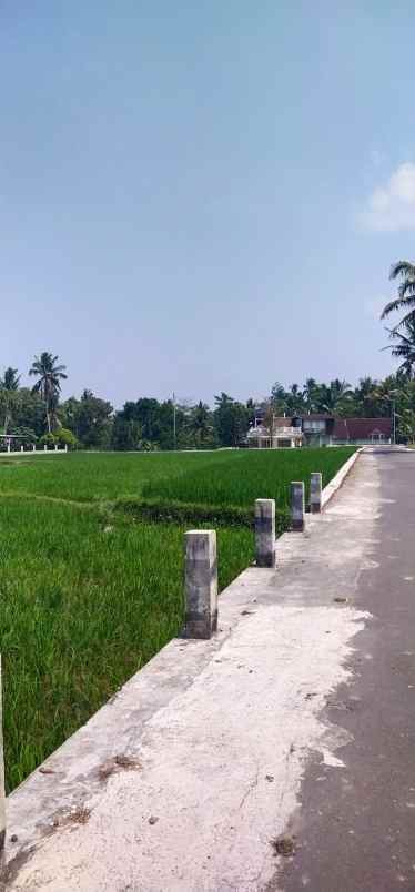 dijual tanah sawah murah meriah nego sampai jadi