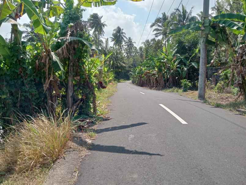dijual tanah sawah view laut dan bukit balian