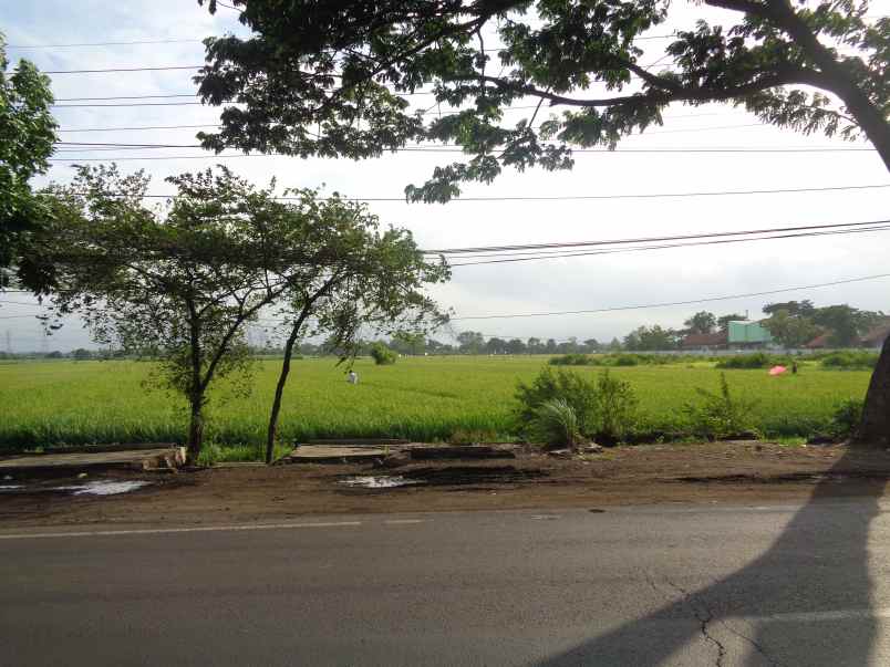 dijual tanah seluas 14 010 m2 seharga rp 4 7m pasuruan