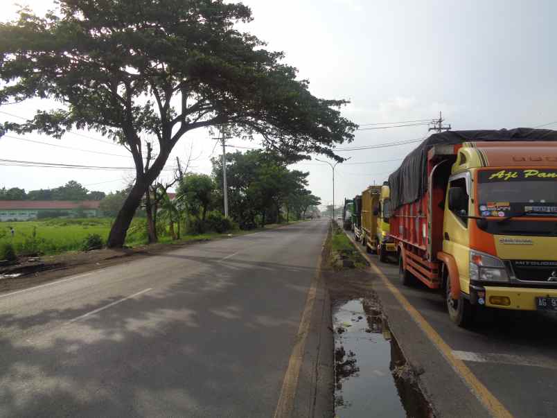 dijual tanah seluas 14 010 m2 seharga rp 4 7m pasuruan