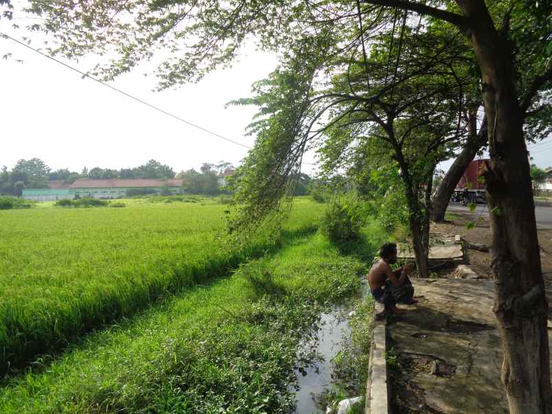 dijual tanah seluas 14 010 m2 seharga rp 4 7m pasuruan