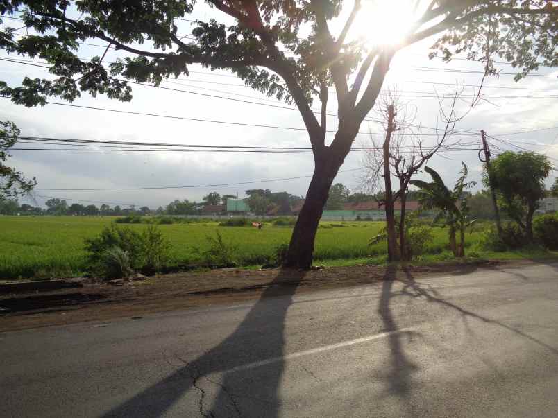 dijual tanah seluas 14 010 m2 seharga rp 4 7m pasuruan