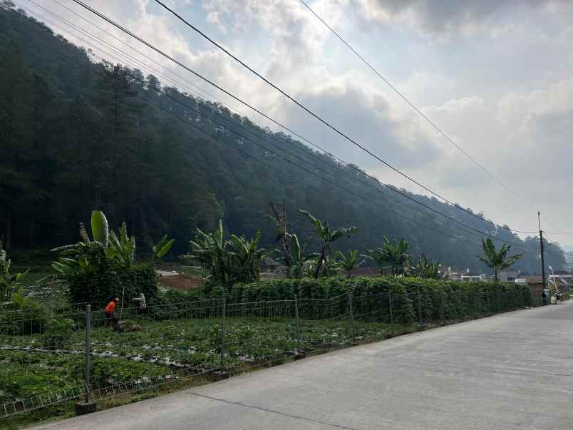 dijual tanah tawangmangu karanganyar