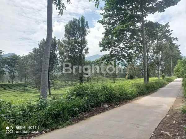 dijual tanah tugu selatan puncak kab bogor