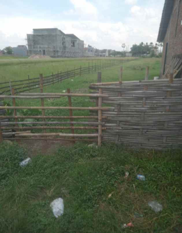 dijual tanah waru baki sukoharjo jawatengah