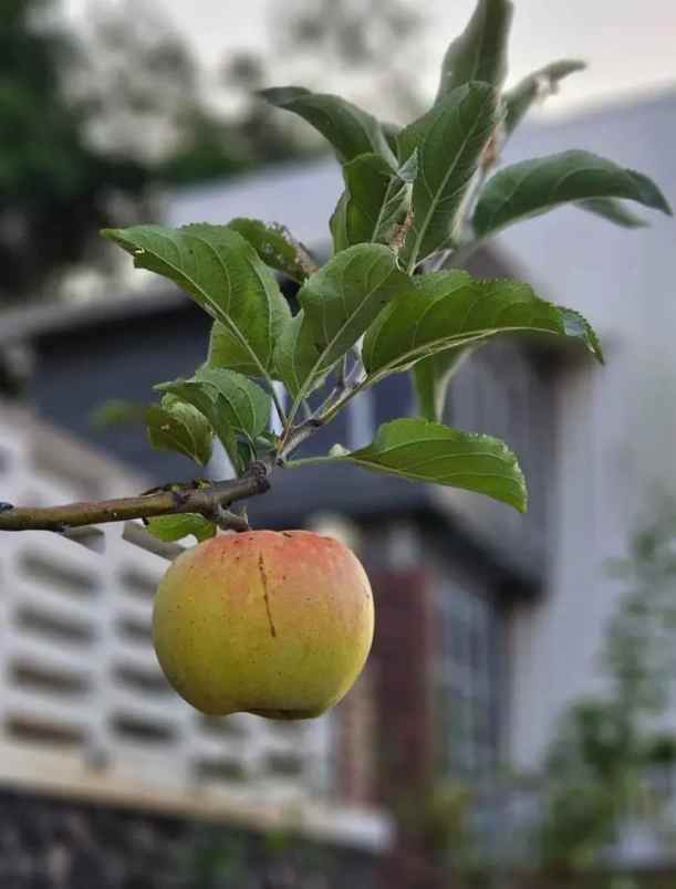 dijual villa bumiaji