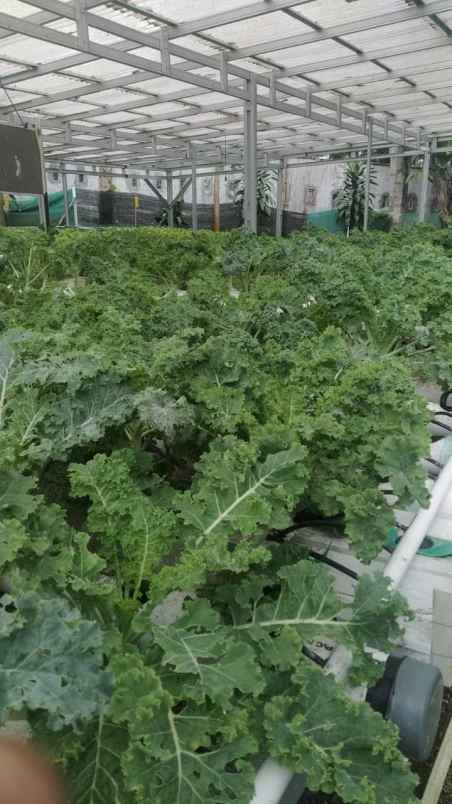 dijual villa sukatani cianjur