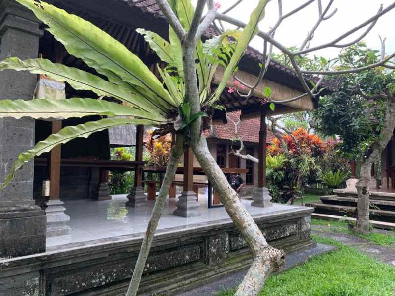 dijual villa tradisional centre ubud gianyar bali bali