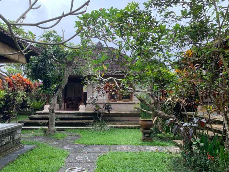dijual villa tradisional centre ubud gianyar bali bali