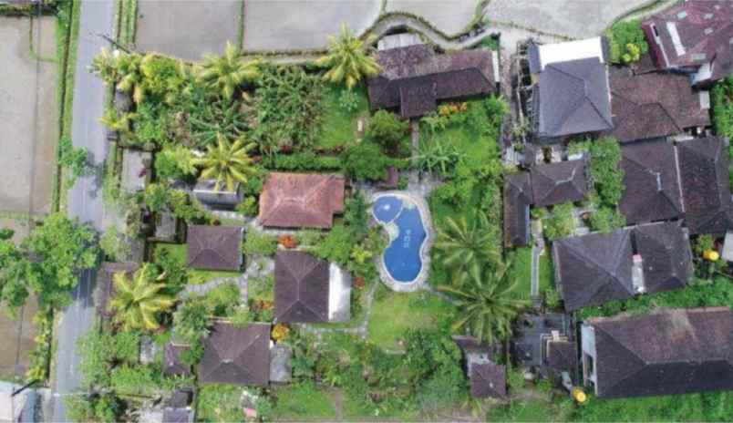 dijual villa tradisional centre ubud gianyar bali bali