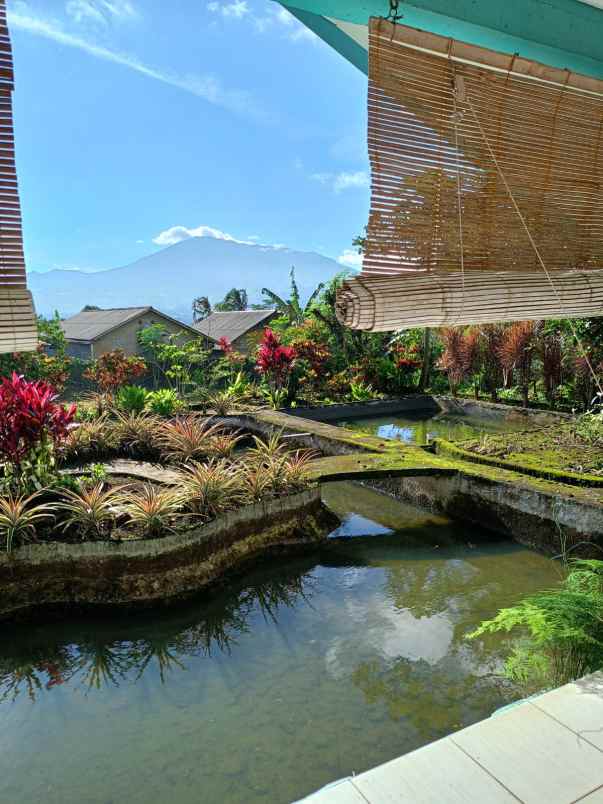 dijual villa villa pak awang cigombong
