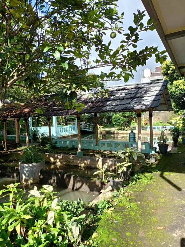 dijual villa villa pak awang cigombong