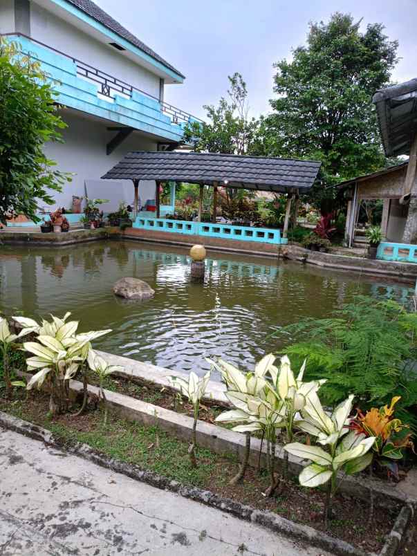 dijual villa villa pak awang cigombong